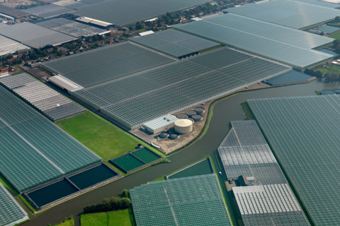 Greenhouse roof view