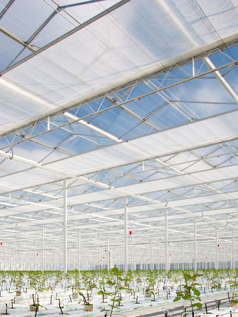 Engergy Screens Greenhouse