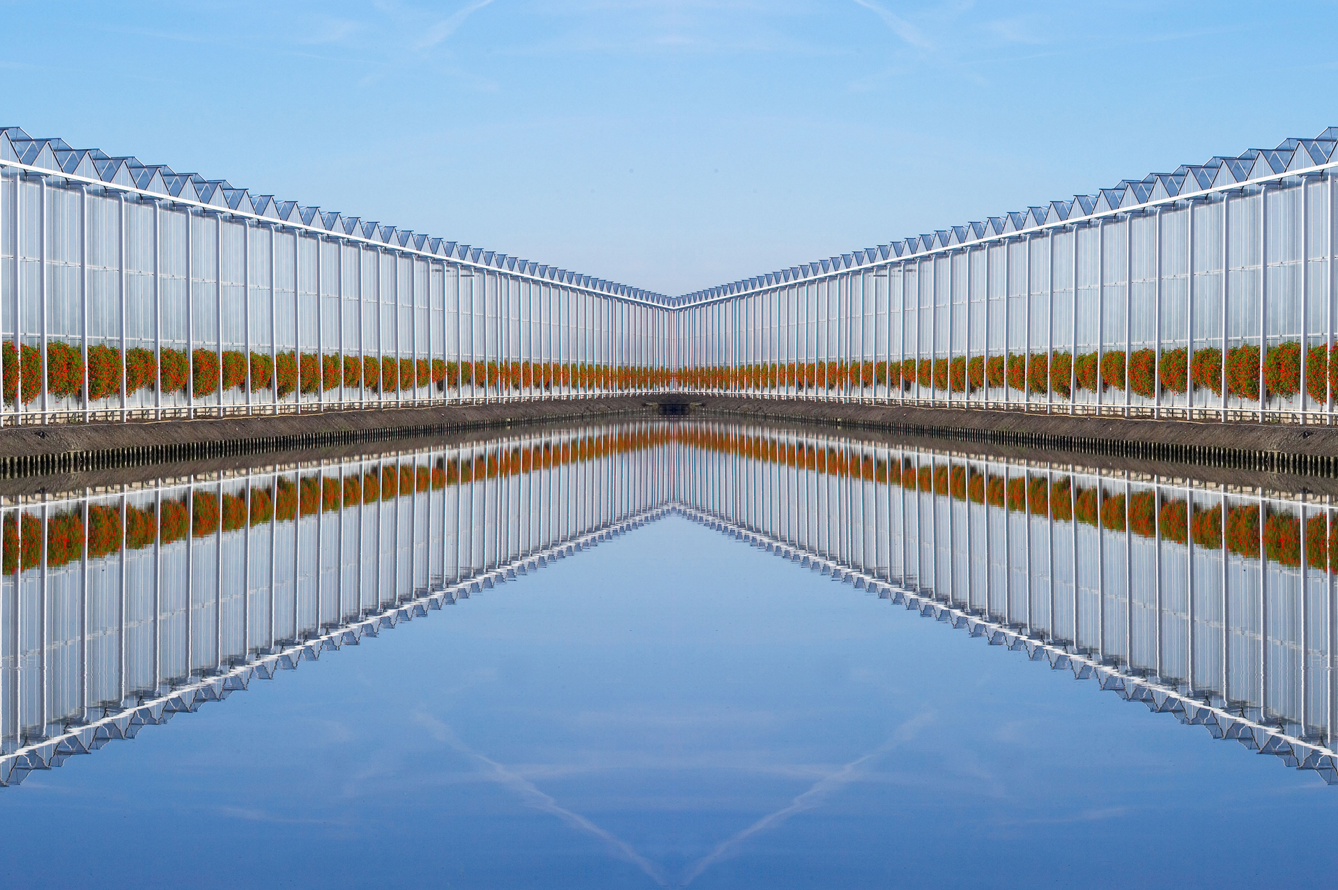 Dutchgreenhouses